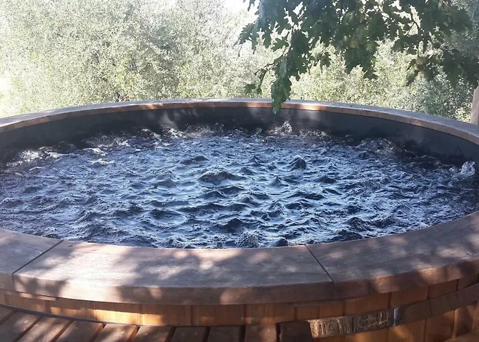 Çiftlik konaklama Bioagriturismo Poderaccio