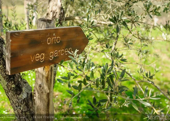 Bioagriturismo Poderaccio Incisa in Val d'Arno