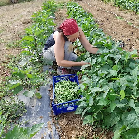 Bioagriturismo Poderaccio
