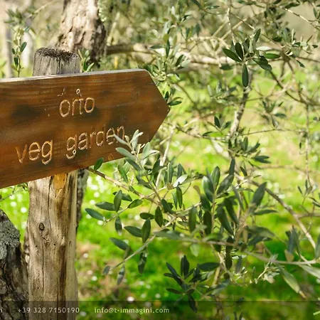 Bioagriturismo Poderaccio 瓦尔达诺的因奇萨