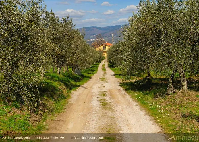 Bioagriturismo Poderaccio Incisa in Val d'Arno