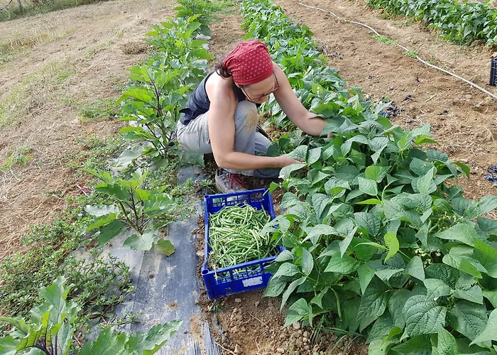Bioagriturismo Poderaccio