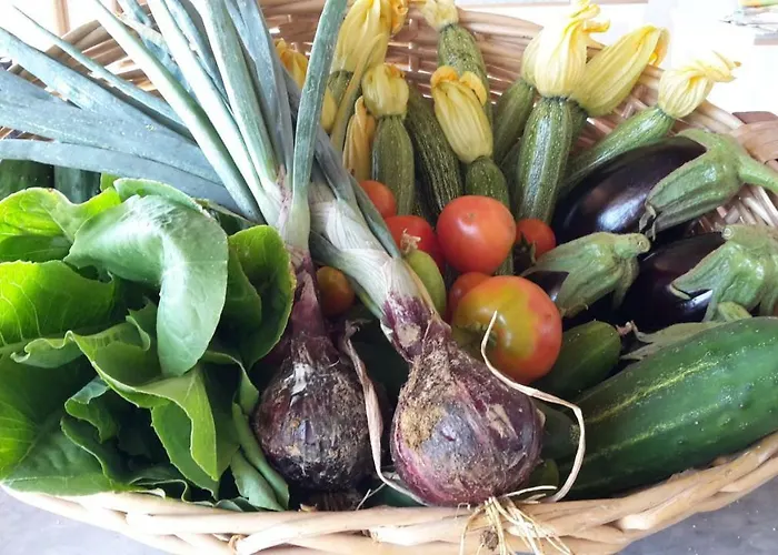 Bioagriturismo Poderaccio Κατάλυμα σε φάρμα