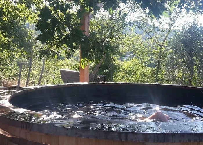 Bioagriturismo Poderaccio Κατάλυμα σε φάρμα Incisa in Val d'Arno