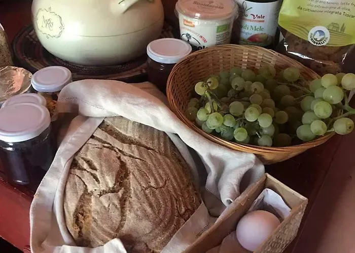 Κατάλυμα σε φάρμα Bioagriturismo Poderaccio Incisa in Val d'Arno